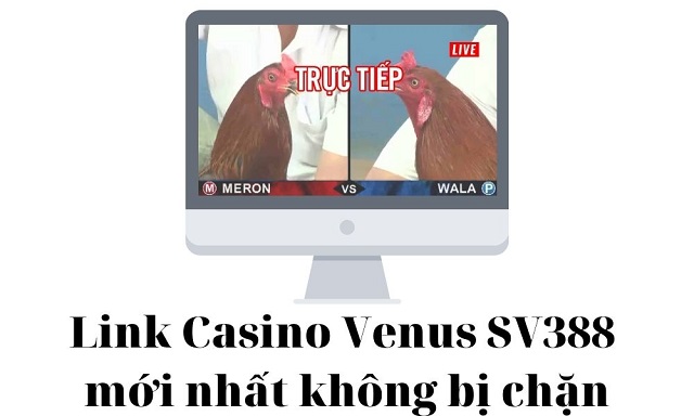 Link vào Casino Venus SV388 không bị chặn mới nhất